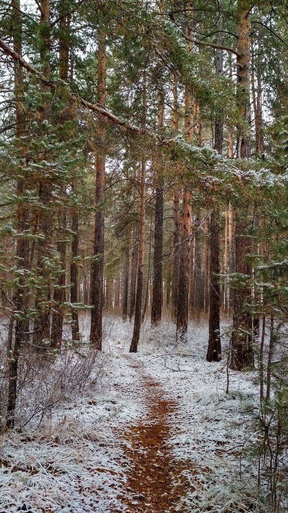 Photograph by Ольга Васильева