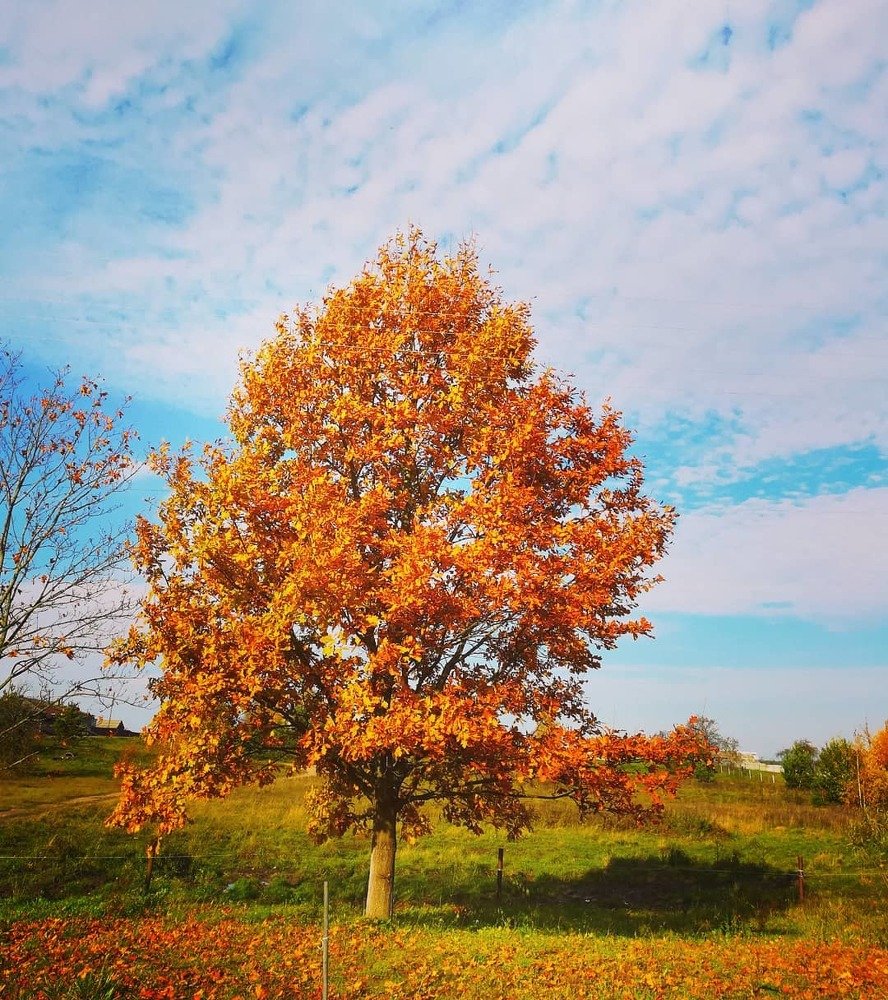 Photograph by Екатерина Супраненок