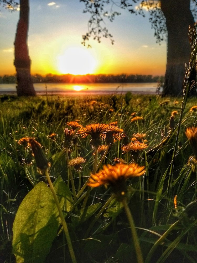 Photograph by Марина Каримова