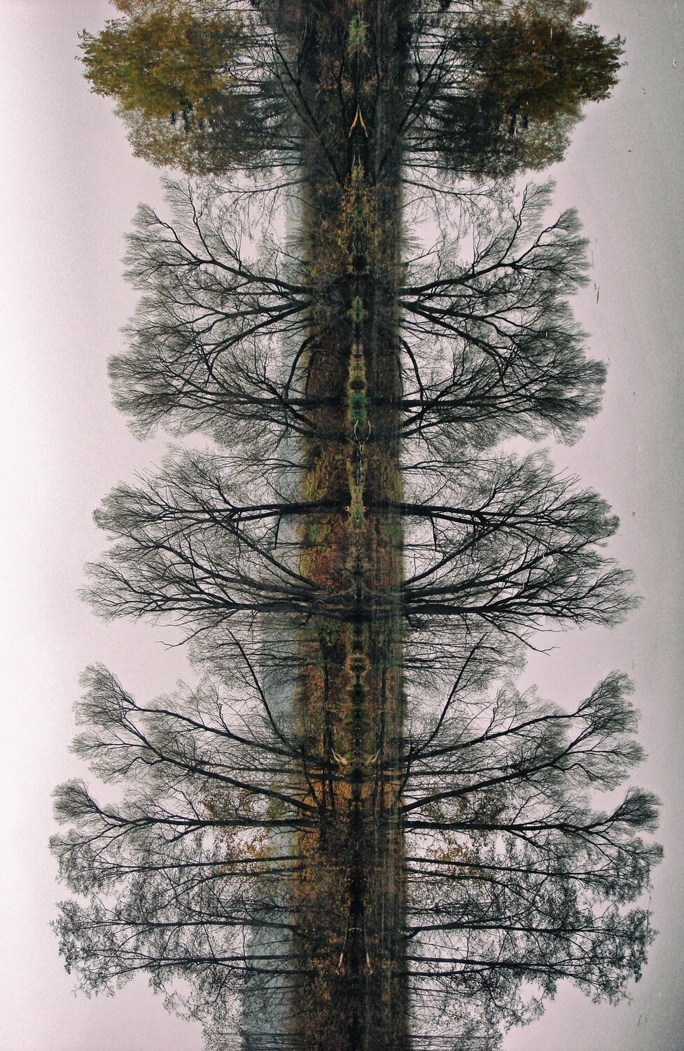Photo #5085477