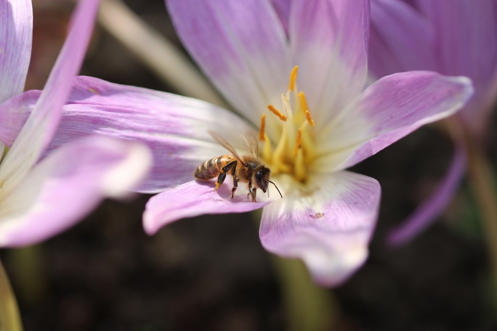 Photograph by Ирина Нурбаева