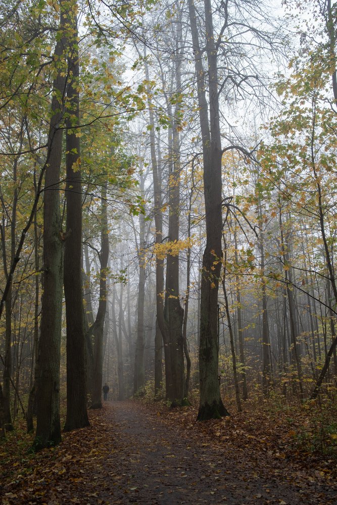 Photograph by Вячеслав Криволуцкий