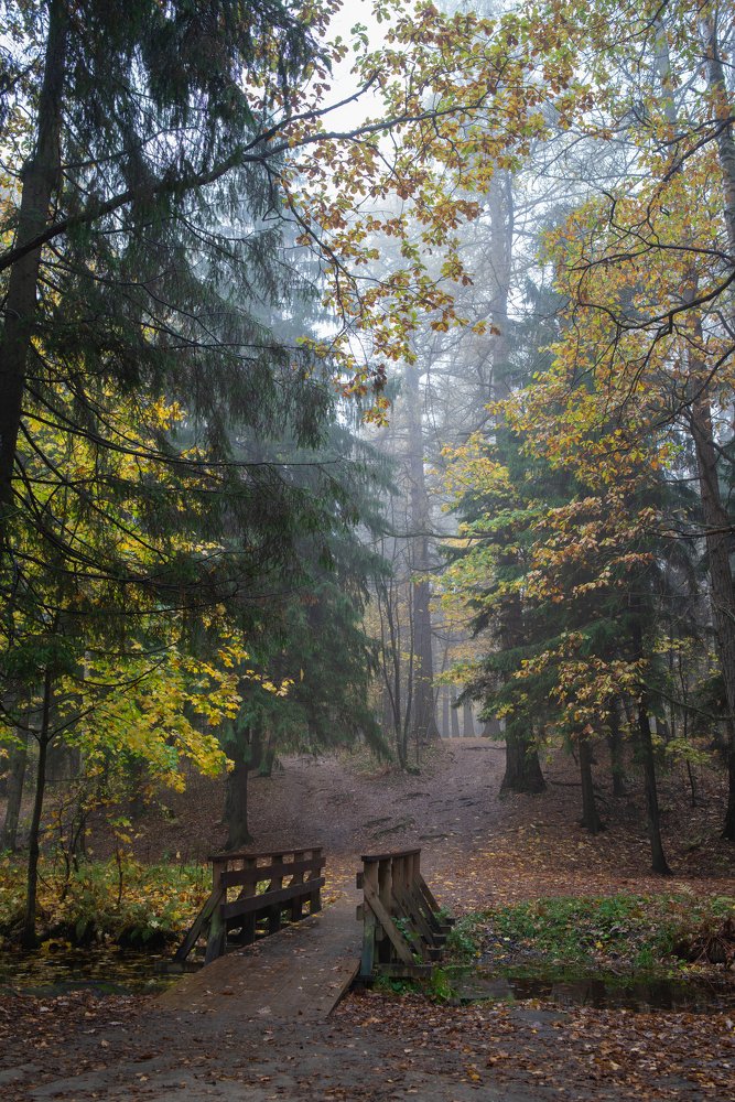 Photograph by Вячеслав Криволуцкий