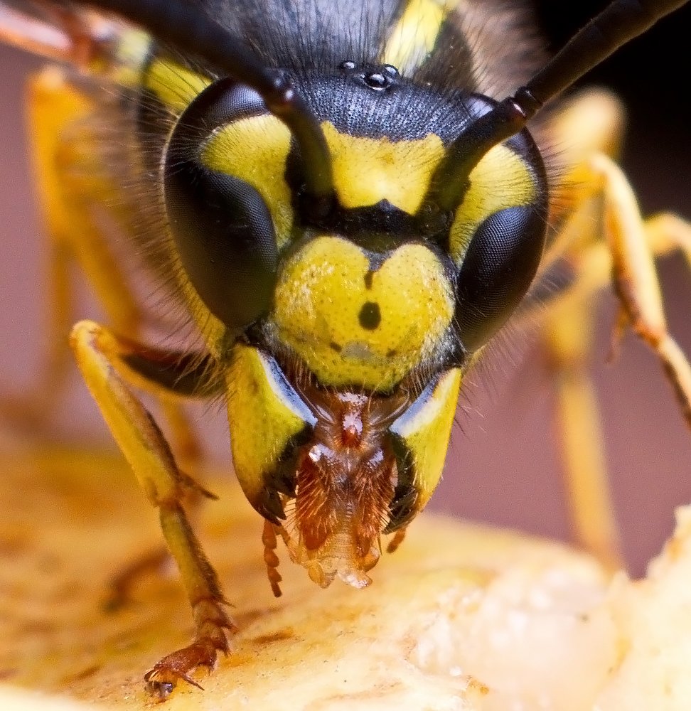 Photograph by Карякин Александр