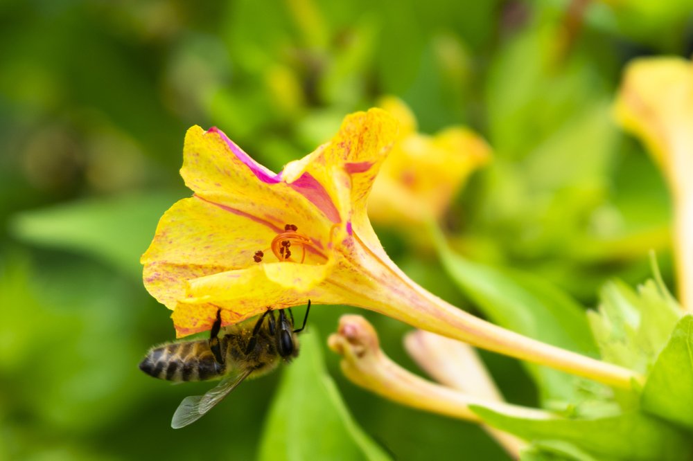 Photograph by Alexandra Ionita