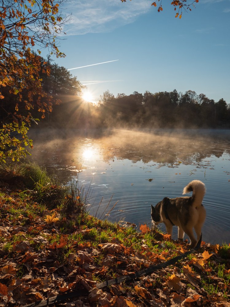 Photograph by Вячеслав Криволуцкий