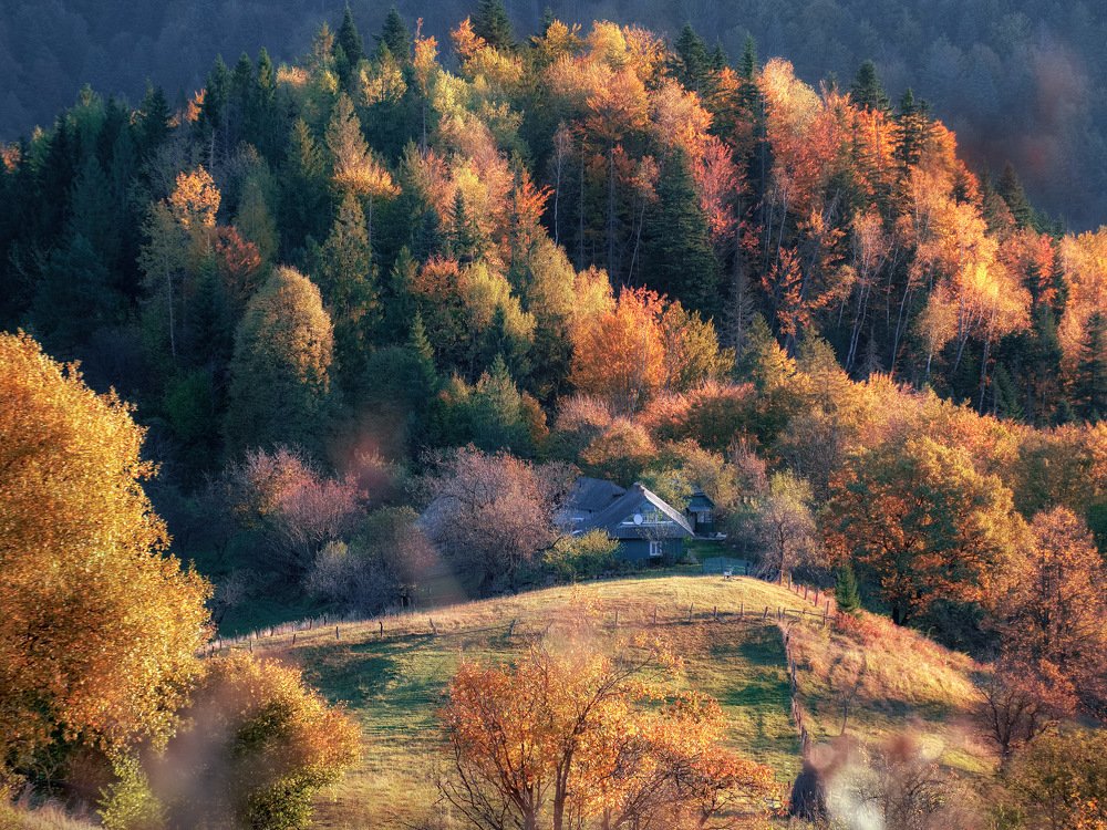 Photograph by Юрий Никитюк