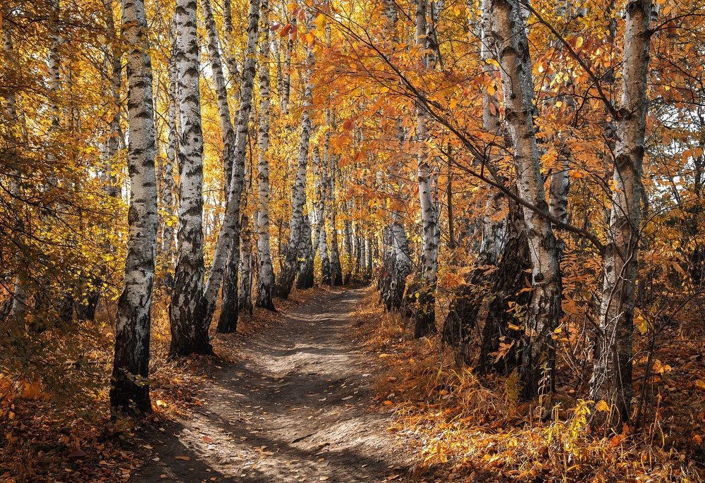 Photograph by Максим Мозжухин