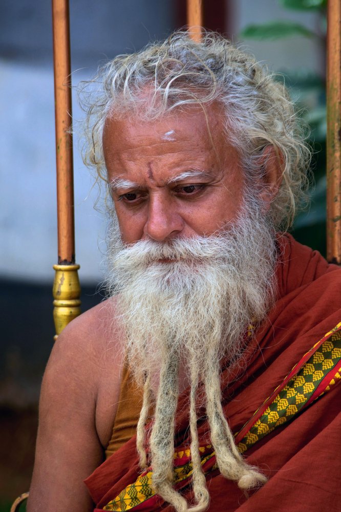 Photograph by NITHIN KUMAR KAVILPUTHANVEETTIL