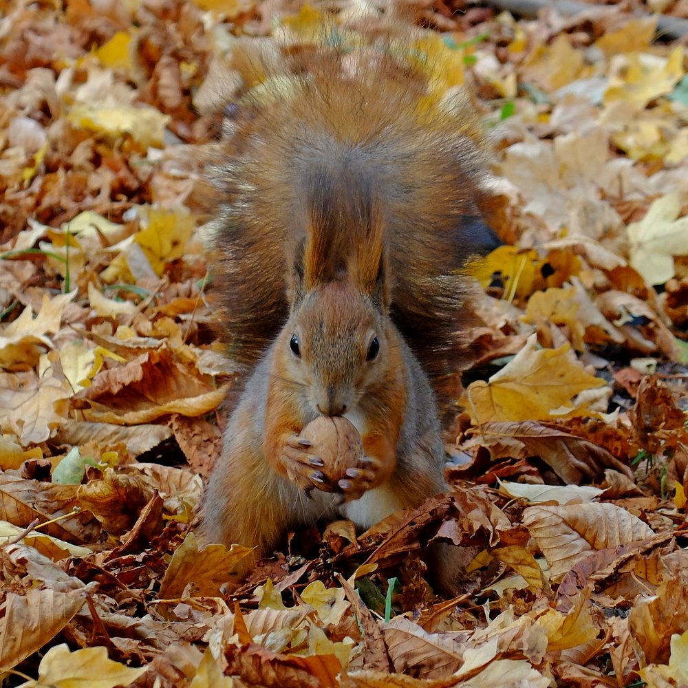 Photograph by Eugene Degtyaryov