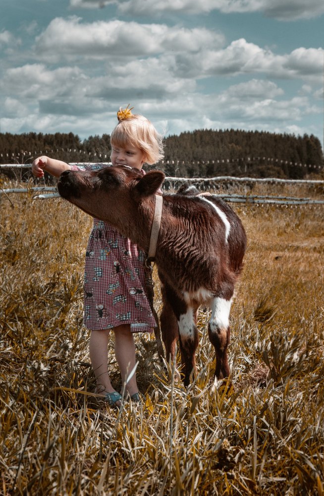 Photograph by елена кузьмина