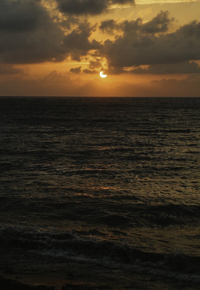 Photograph by paata gogua