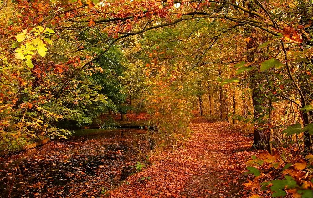 Фотография автора Razgulyaev Aleksandr