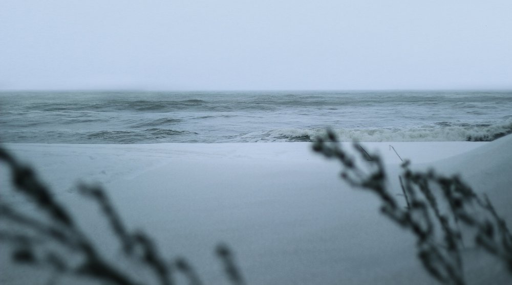 Photograph by paata gogua