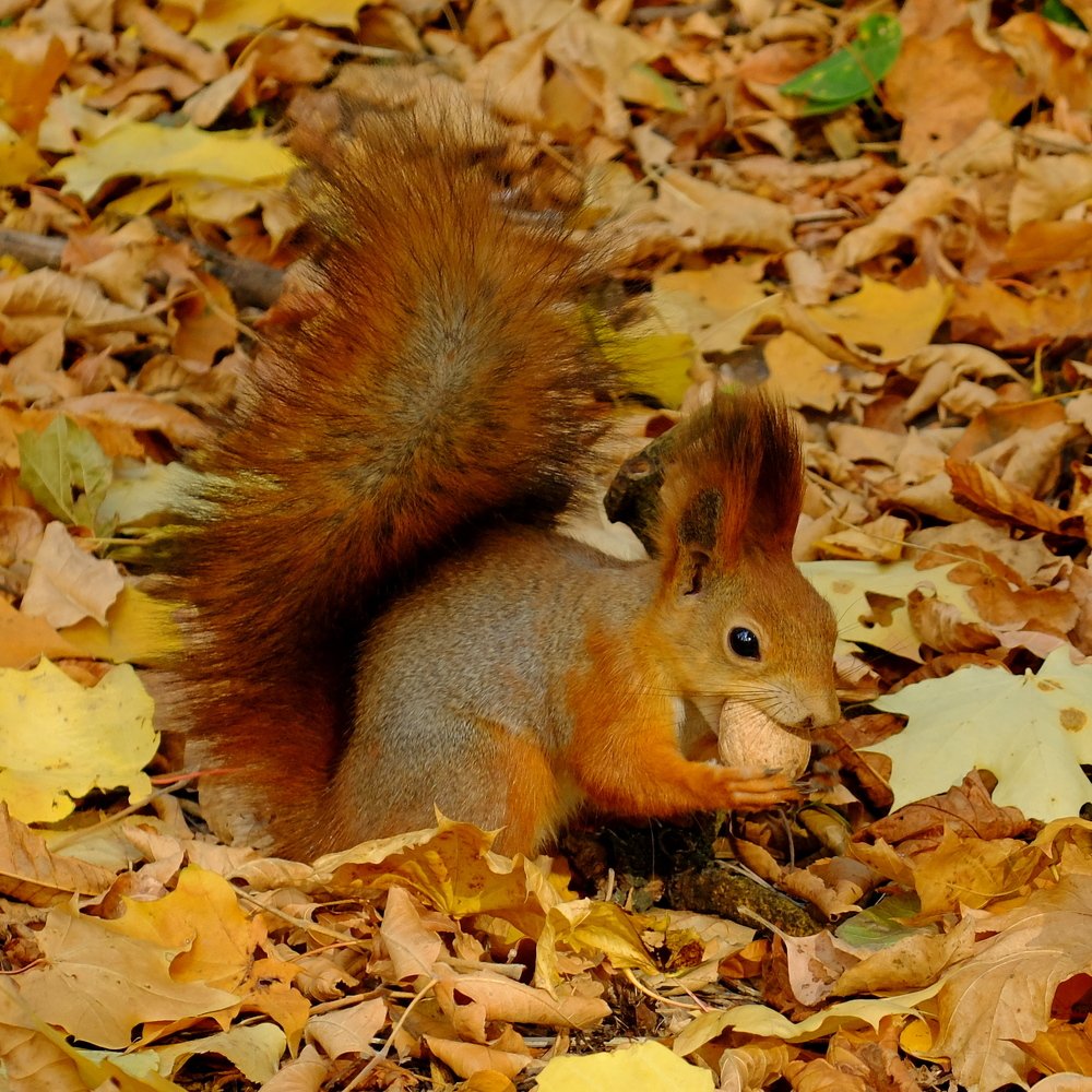 Photograph by Eugene Degtyaryov