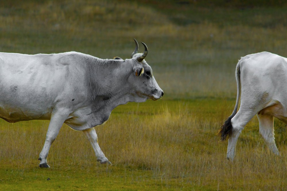 Photograph by Елизавета Калинина