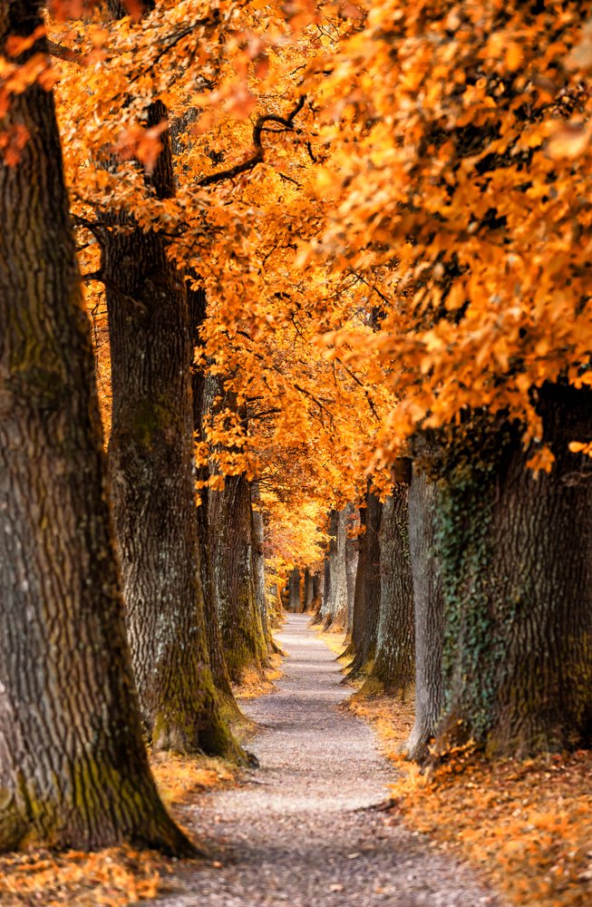 Photograph by Nicolai bruegger