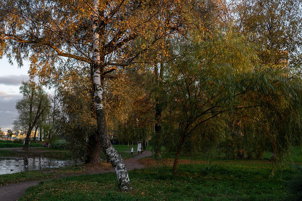 Photograph by Наталья Юденкова