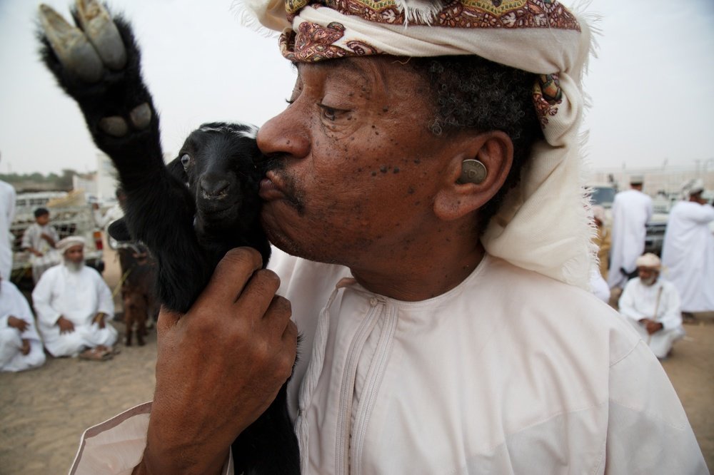 Photograph by al Hajri salem