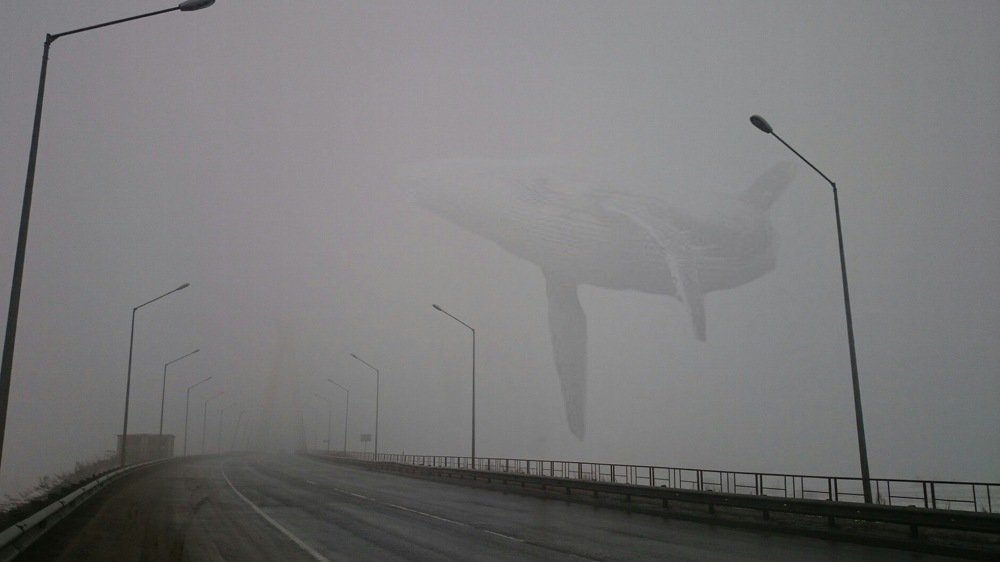 Photograph by Максим Воробьев