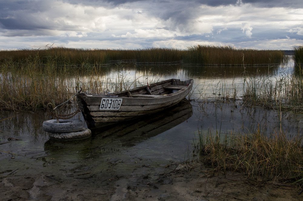 Photograph by Майя Чехова