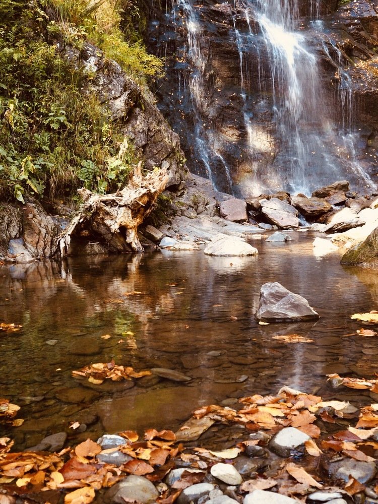 Photograph by Олеся Семенова