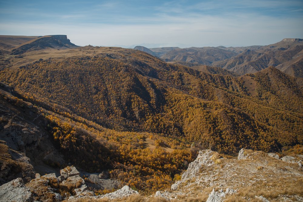 Photograph by Катерина