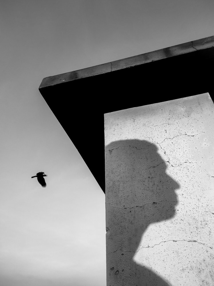 Photograph by Muhaiminul Islam Munaj Kazi