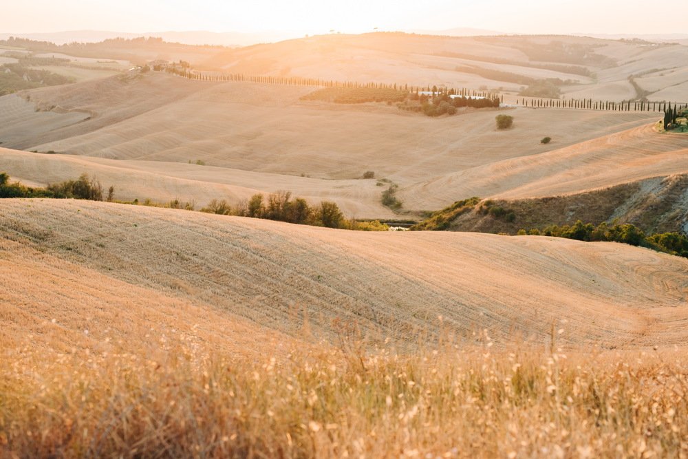 Photograph by Olga Merolla