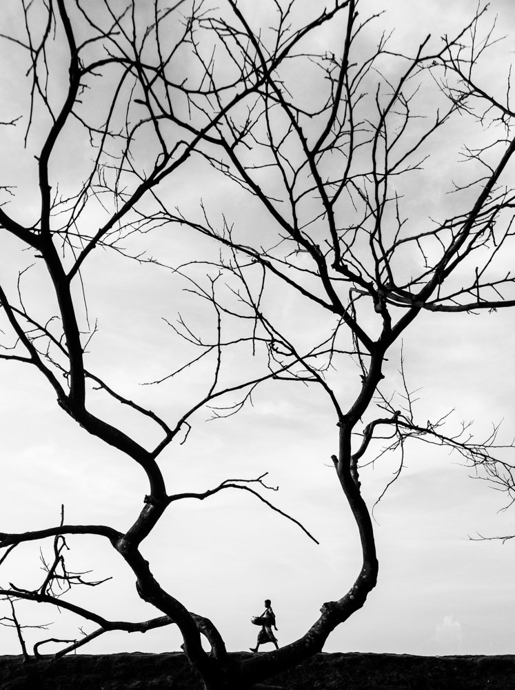 Photograph by Muhaiminul Islam Munaj Kazi