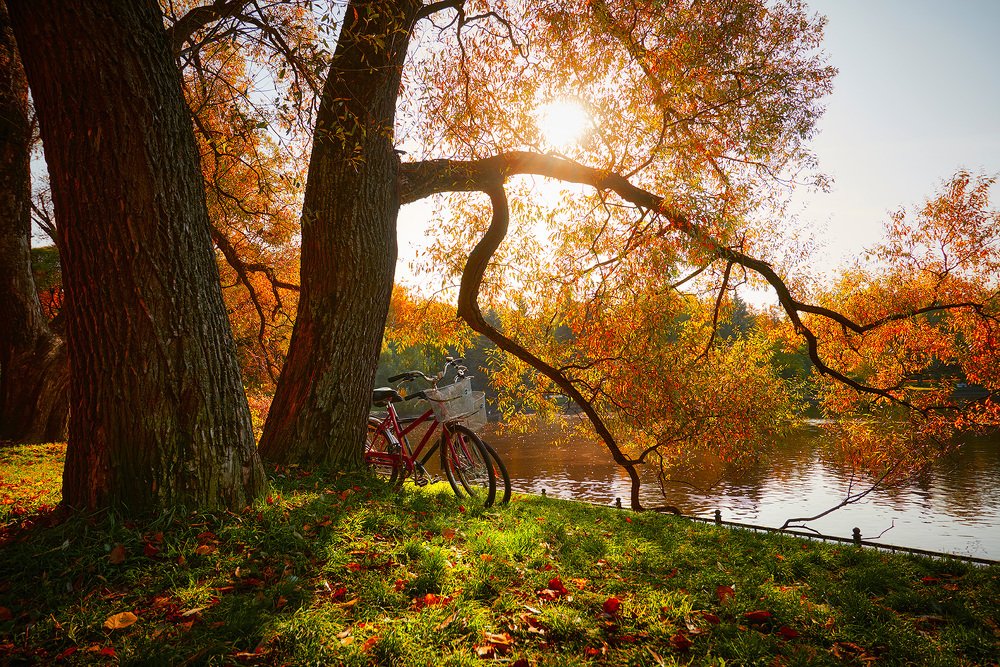 Пылающая осень