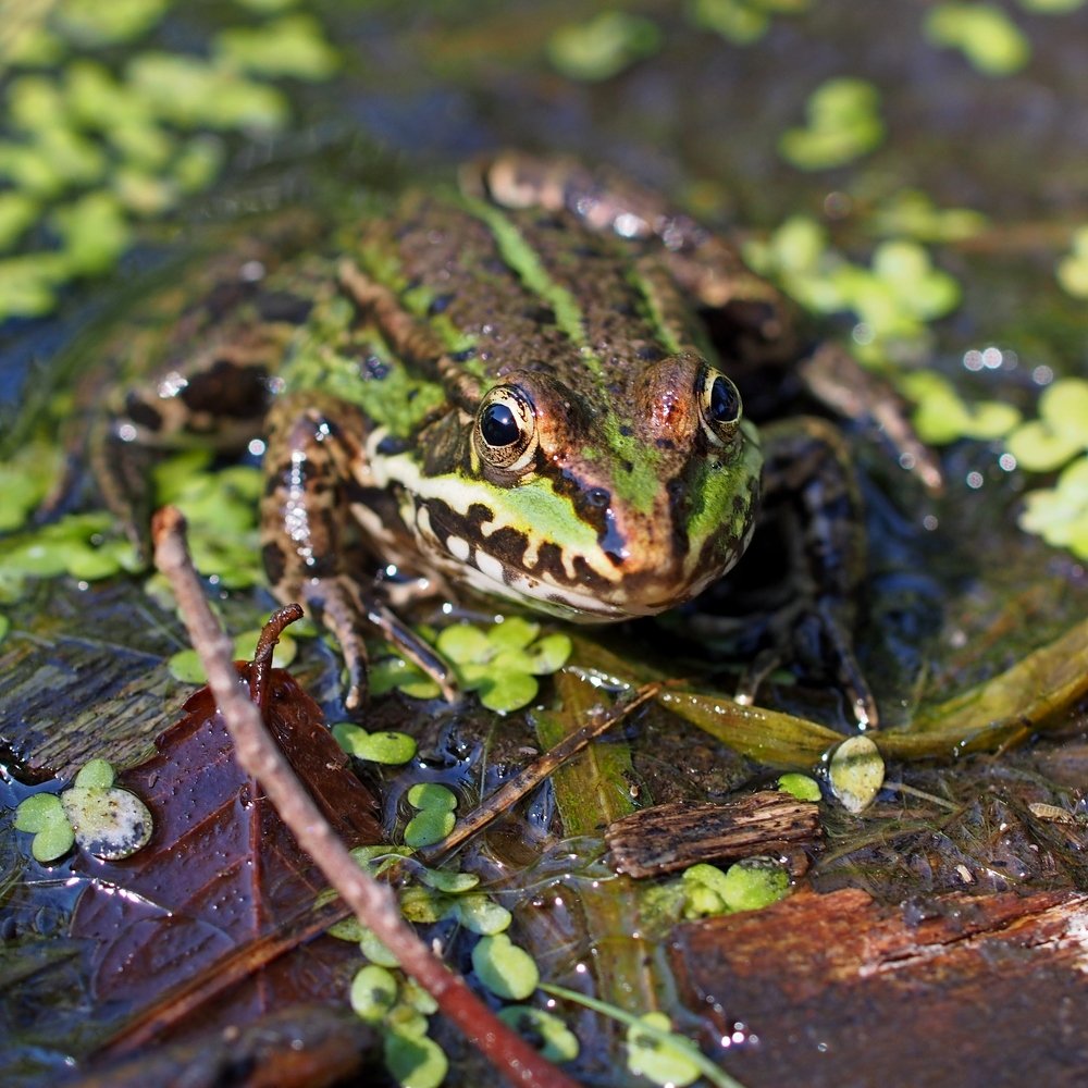 Photograph by Eugene Degtyaryov