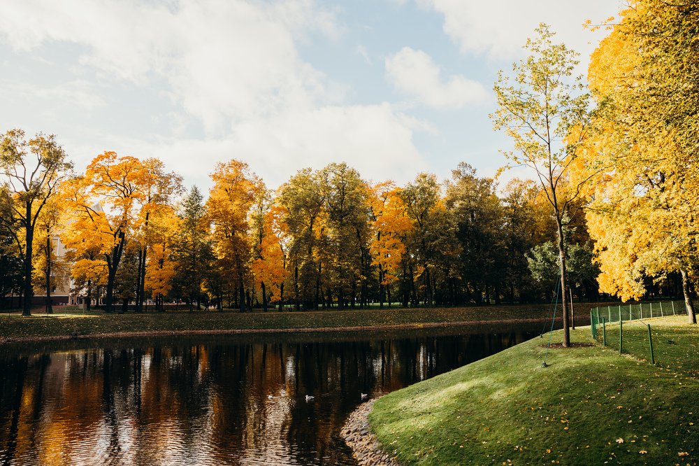 Photograph by Виктор Савельев
