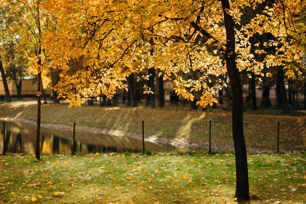 Photograph by Виктор Савельев