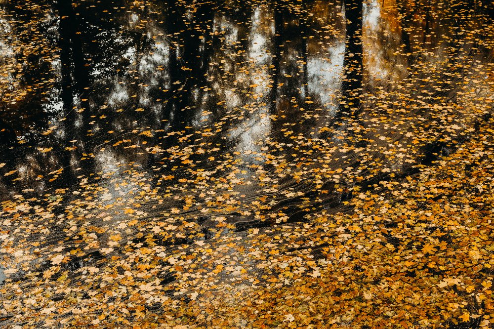 Photograph by Виктор Савельев