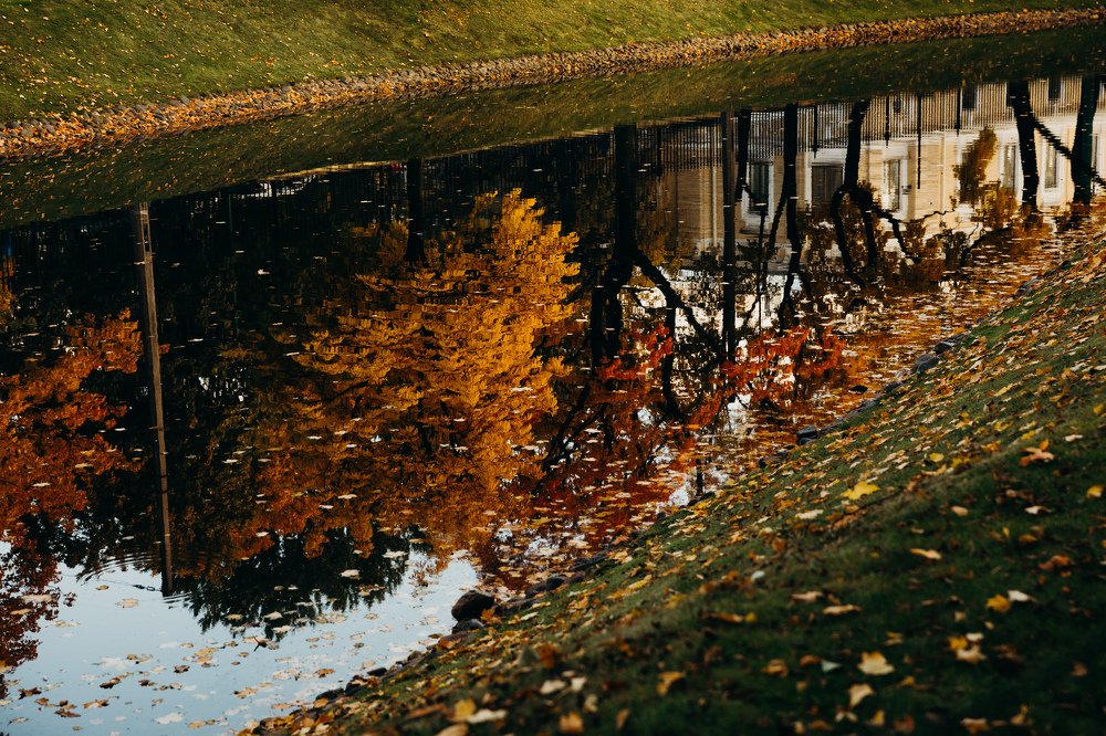 Photograph by Виктор Савельев