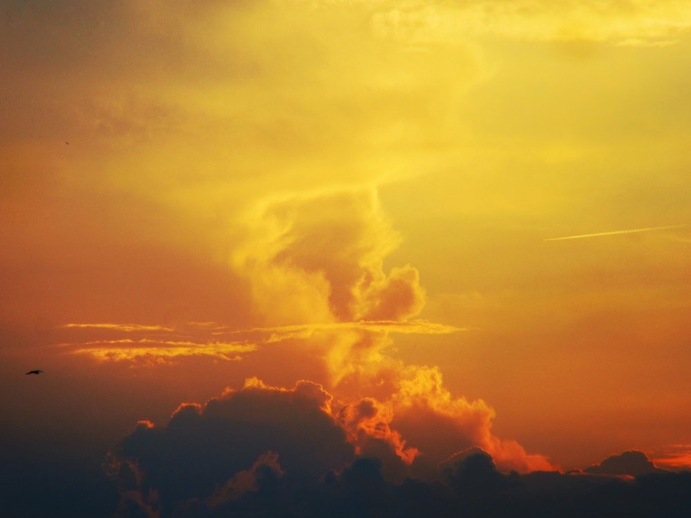 Photograph by Никита Казаков