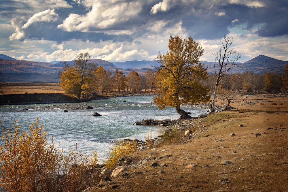 Photograph by Дмитрий Юдин