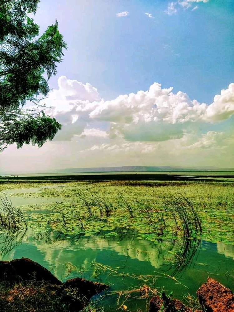 Photograph by Surafel Kirubel