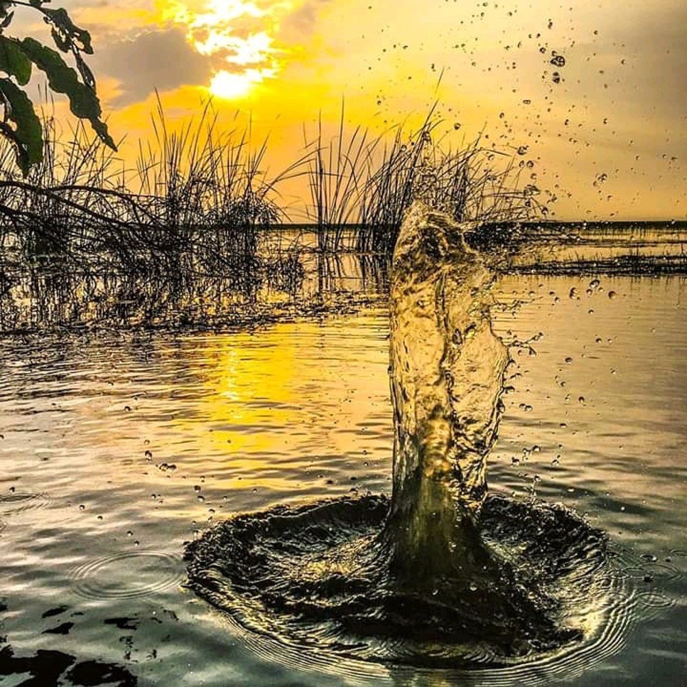 Photograph by Surafel Kirubel