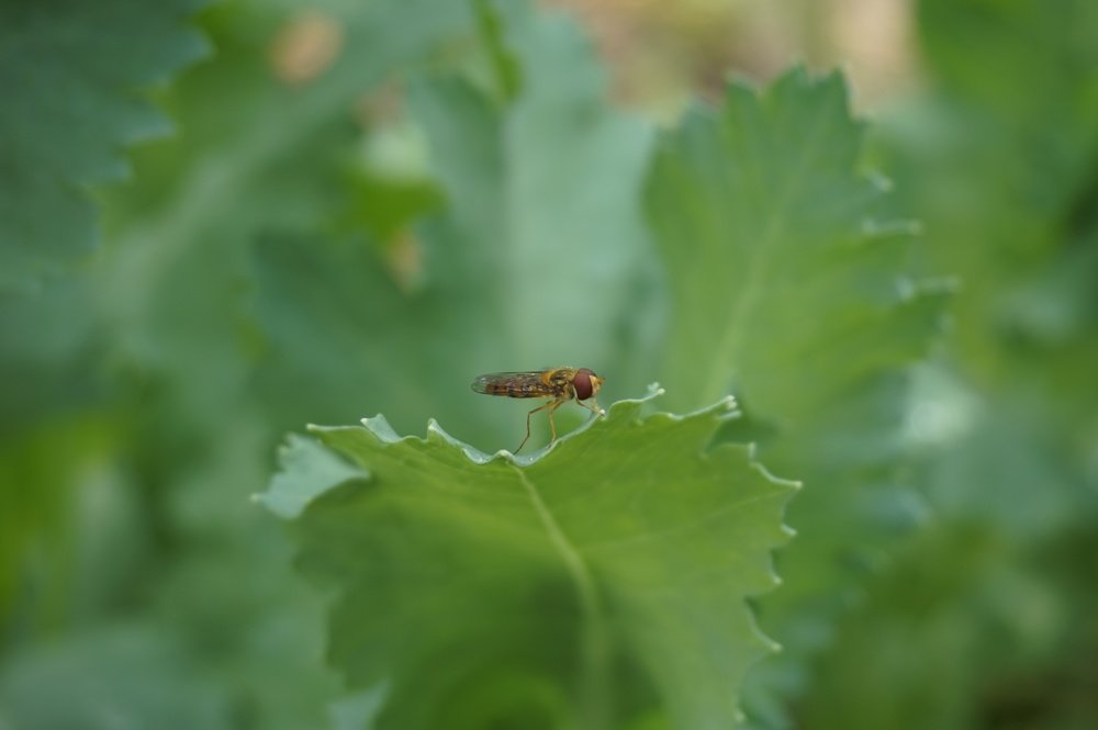Photograph by Andreas Koff
