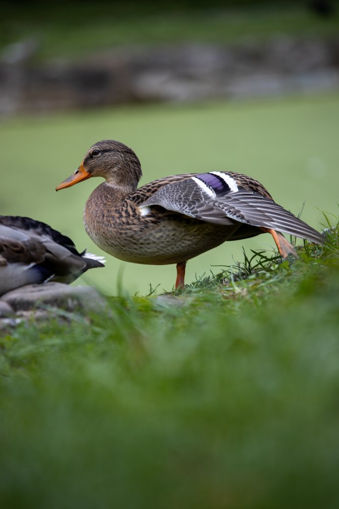 Photograph by Володимир Сорін