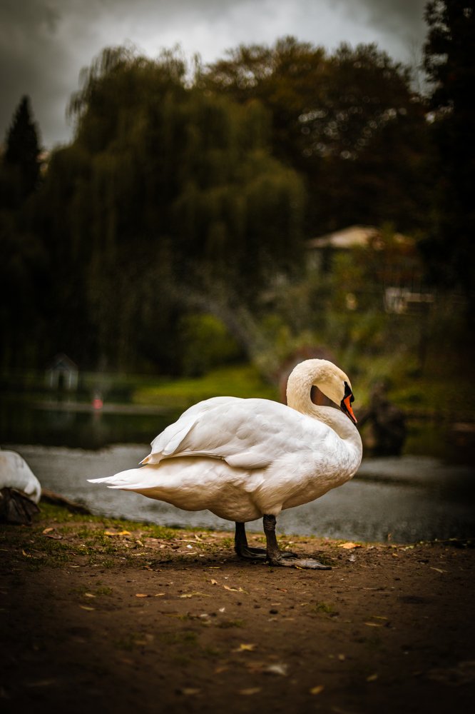 Photograph by Володимир Сорін