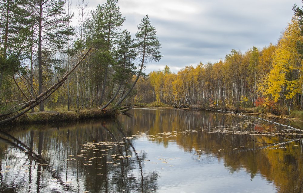 Photograph by Галина Щипакина