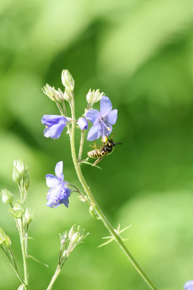 Photograph by Наталья Ченчикова