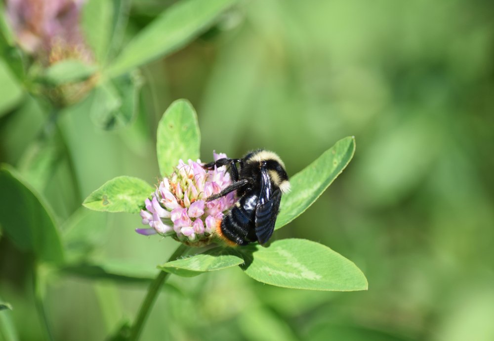 Photograph by Наталья Ченчикова