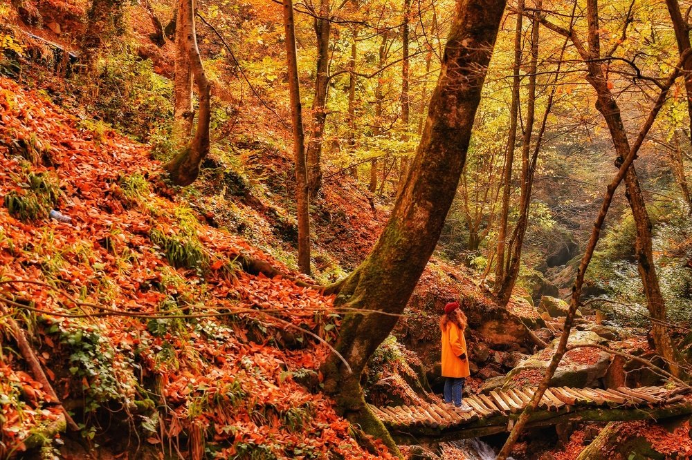 Photograph by Timur Türkmen