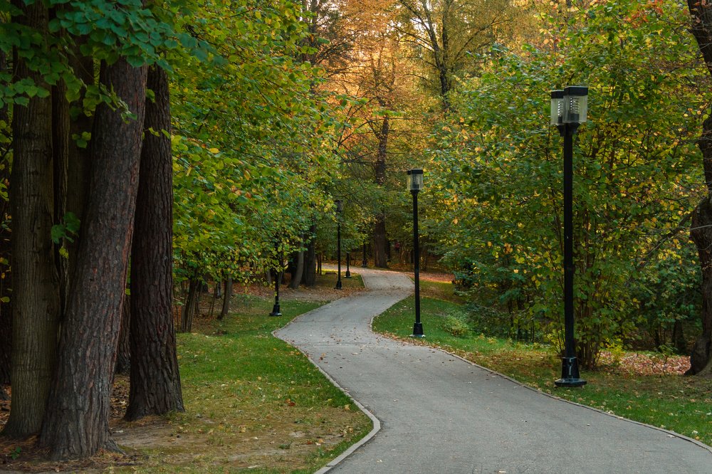 Photograph by Ксения Соварцева