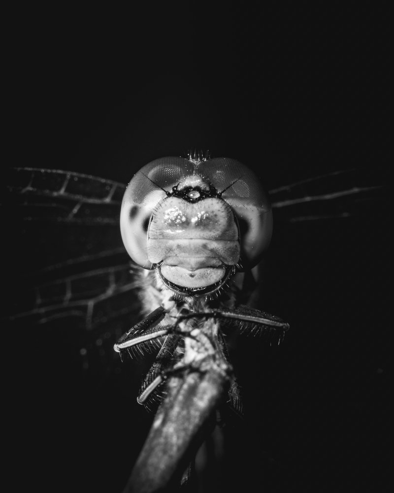 Photograph by Сергей Егоров