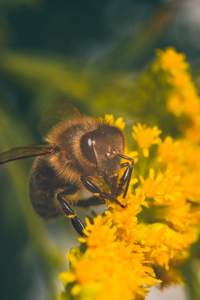 Photograph by Сергей Егоров